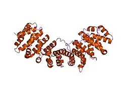 1pjm: Mouse Importin alpha-bipartite NLS from human retinoblastoma protein Complex