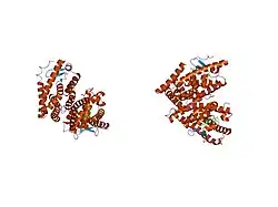 1pq6: HUMAN LXR BETA HORMONE RECEPTOR / GW3965 COMPLEX
