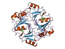 1qin: HUMAN GLYOXALASE I COMPLEXED WITH S-(N-HYDROXY-N-P-IODOPHENYLCARBAMOYL) GLUTATHIONE