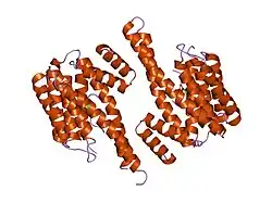1qjb: 14-3-3 ZETA/PHOSPHOPEPTIDE COMPLEX (MODE 1)