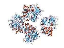 1r9n: Crystal Structure of human dipeptidyl peptidase IV in complex with a decapeptide (tNPY) at 2.3 Ang. Resolution