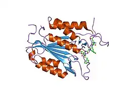 1rhu: CRYSTAL STRUCTURE OF THE COMPLEX OF CASPASE-3 WITH A 5,6,7 TRICYCLIC PEPTIDOMIMETIC INHIBITOR