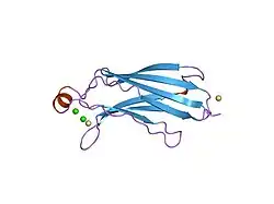 1rlw: CALCIUM-PHOSPHOLIPID BINDING DOMAIN FROM CYTOSOLIC PHOSPHOLIPASE A2