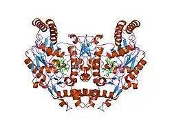 1rs6: Rat neuronal NOS heme domain with D-lysine-D-nitroarginine amide bound