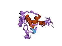 1rxr: HIGH RESOLUTION SOLUTION STRUCTURE OF THE RETINOID X RECEPTOR DNA BINDING DOMAIN, NMR, 20 STRUCTURE