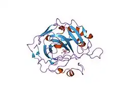1rzb: X-RAY ANALYSIS OF METAL SUBSTITUTED HUMAN CARBONIC ANHYDRASE II DERIVATIVES