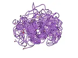 1s4g: Somatomedin-B Domain of human plasma vitronectin.