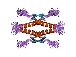 1saj: HIGH RESOLUTION SOLUTION NMR STRUCTURE OF THE OLIGOMERIZATION DOMAIN OF P53 BY MULTI-DIMENSIONAL NMR (SAD STRUCTURES)