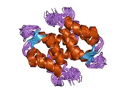 1sym: 3-D SOLUTION STRUCTURE OF REDUCED APO-S100B FROM RAT, NMR, 20 STRUCTURES