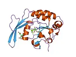 1ta0: Three-dimensional structure of a RNA-polymerase II binding protein with associated ligand.