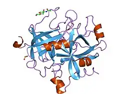 1tmu: CHANGES IN INTERACTIONS IN COMPLEXES OF HIRUDIN DERIVATIVES AND HUMAN ALPHA-THROMBIN DUE TO DIFFERENT CRYSTAL FORMS