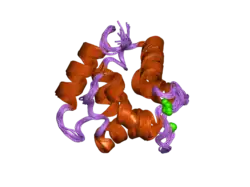 1ttx: Solution structure of human beta parvalbumin (oncomodulin) refined with a paramagnetism based strategy