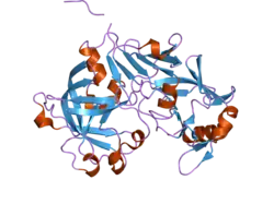 1tzs: Crystal Structure of an activation intermediate of Cathepsin E