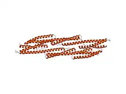 1u4q: Crystal Structure of Repeats 15, 16 and 17 of Chicken Brain Alpha Spectrin