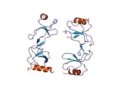 1u4r: Crystal Structure of human RANTES mutant 44-AANA-47