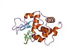 1ubz: Crystal structure of Glu102-mutant human lysozyme doubly labeled with 2',3'-epoxypropyl beta-glycoside of N-acetyllactosamine