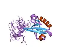 1uep: Solution Structure of the third PDZ domain of Human Atrophin-1 Interacting Protein 1 (KIAA0705 Protein)