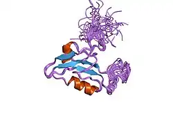 1uju: Solution structure of the fourth PDZ domain of human scribble (KIAA0147 protein)