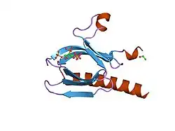 1unq: HIGH RESOLUTION CRYSTAL STRUCTURE OF THE PLECKSTRIN HOMOLOGY DOMAIN OF PROTEIN KINASE B/AKT BOUND TO INS (1,3,4,5)-TETRAKISPHOPHATE