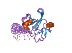1v06: AXH DOMAIN OF THE TRANSCRIPTION FACTOR HBP1 FROM M.MUSCULUS