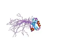 1wf7: Solution structure of the PDZ domain of Enigma homologue protein