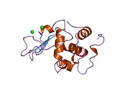 1wqm: CONTRIBUTION OF HYDROGEN BONDS TO THE CONFORMATIONAL STABILITY OF HUMAN LYSOZYME