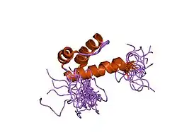 1x2n: Solution structure of the homeobox domain of human homeobox protein PKNOX1