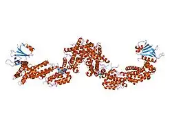 1xdv: Experimentally Phased Structure of Human the Son of Sevenless protein at 4.1 Ang.