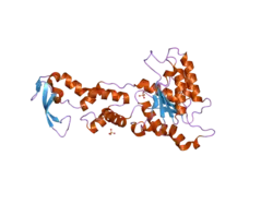 1xwi: Crystal Structure of VPS4B