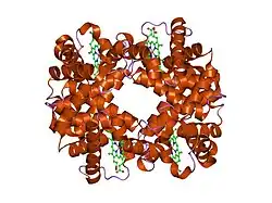 1xzv: T-to-THigh Quaternary Transitions in Human Hemoglobin: alphaP95A deoxy low-salt