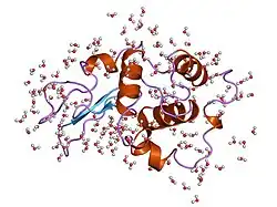 1yan: CONTRIBUTION OF HYDROPHOBIC RESIDUES TO THE STABILITY OF HUMAN LYSOZYME: CALORIMETRIC STUDIES AND X-RAY STRUCTURAL ANALYSIS OF THE FIVE ISOLEUCINE TO VALINE MUTANTS