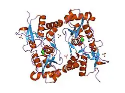 1ycj: Crystal structure of the kainate receptor GluR5 ligand-binding core in complex with (S)-glutamate