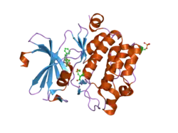 1yi3: Crystal Structure of Pim-1 bound to LY294002