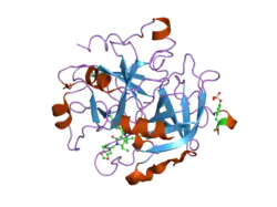 1ypj: Thrombin Inhibitor Complex