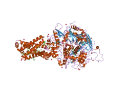 1yq3: Avian respiratory complex ii with oxaloacetate and ubiquinone