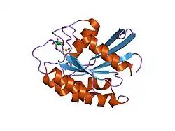 1yzl: GppNHp-Bound Rab9 GTPase