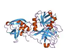 1z8g: Crystal structure of the extracellular region of the transmembrane serine protease hepsin with covalently bound preferred substrate.