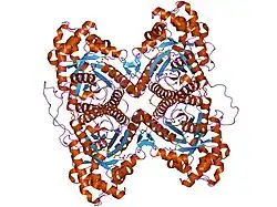 1zai: Fructose-1,6-bisphosphate Schiff base intermediate in FBP aldolase from rabbit muscle