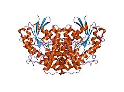 1zca: Crystal structure of G alpha 12 in complex with GDP, Mg2+ and AlF4-