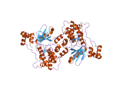 1zmu: Catalytic and ubiquitin-associated domains of MARK2/PAR-1: Wild type
