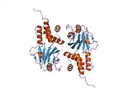 1zoq: IRF3-CBP complex