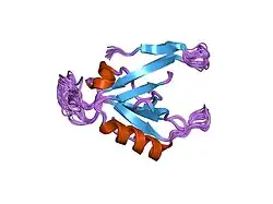 1zub: Solution Structure of the RIM1alpha PDZ Domain in Complex with an ELKS1b C-terminal Peptide