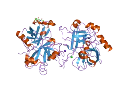 2a0q: Structure of thrombin in 400 mM potassium chloride