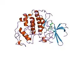 2a4l: Human cyclin-dependent kinase 2 in complex with roscovitine