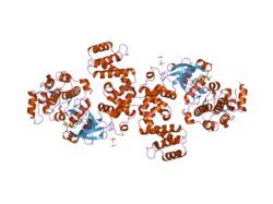 2acx: Crystal Structure of G protein coupled receptor kinase 6 bound to AMPPNP
