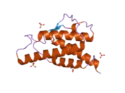 2b8x: Crystal structure of the interleukin-4 variant F82D