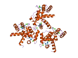 2be6: 2.0 A crystal structure of the CaV1.2 IQ domain-Ca/CaM complex