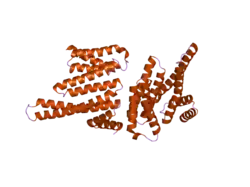 2bq0: 14-3-3 PROTEIN BETA (HUMAN)