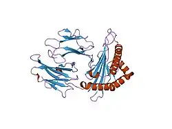 2bvq: STRUCTURES OF THREE HIV-1 HLA-B5703-PEPTIDE COMPLEXES AND IDENTIFICATION OF RELATED HLAS POTENTIALLY ASSOCIATED WITH LONG-TERM NON-PROGRESSION