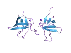 2bz8: N-TERMINAL SH3 DOMAIN OF CIN85 BOUND TO CBL-B PEPTIDE